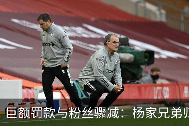 巨额罚款与粉丝骤减：杨家兄弟归来，直播间却已经变天