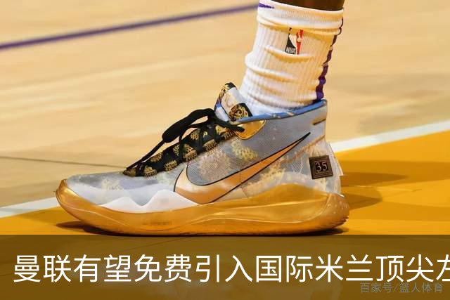 曼联有望免费引入国际米兰顶尖左后卫，但条件严苛